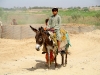 tn_BOY ON DONKEY