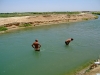 tn_SWIMING2