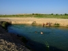 tn_SWIMING4