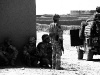 tn_barma team in shade